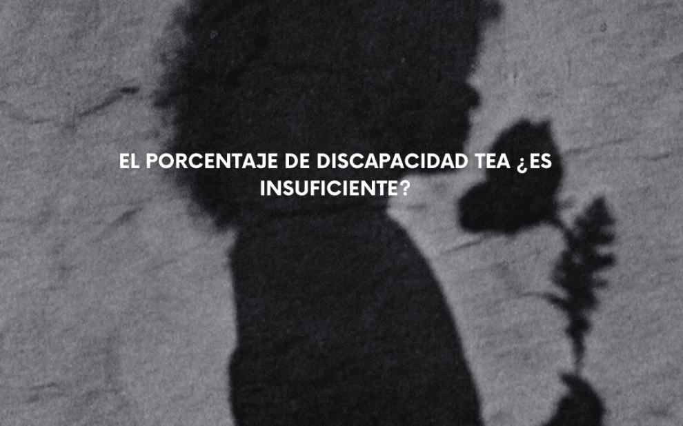 Si necesitas reclamar el grado de discapacidad de tu hijo con Trastorno del Espectro Autista (TEA) o no estás conforme con la valoración de la administración, en Diez & Romeo somos abogados expertos en discapacidad que te ayudarán a hacer valer sus derechos.